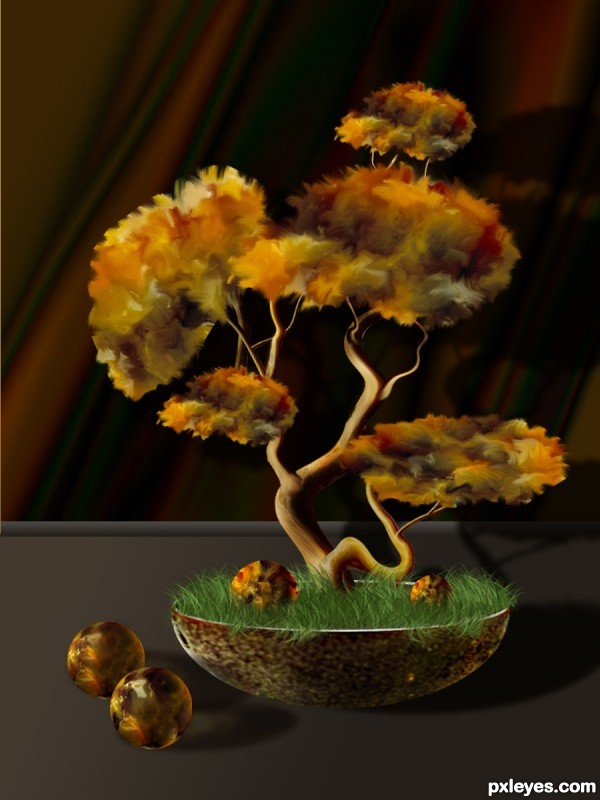 Creation of Bonsai: Step 12